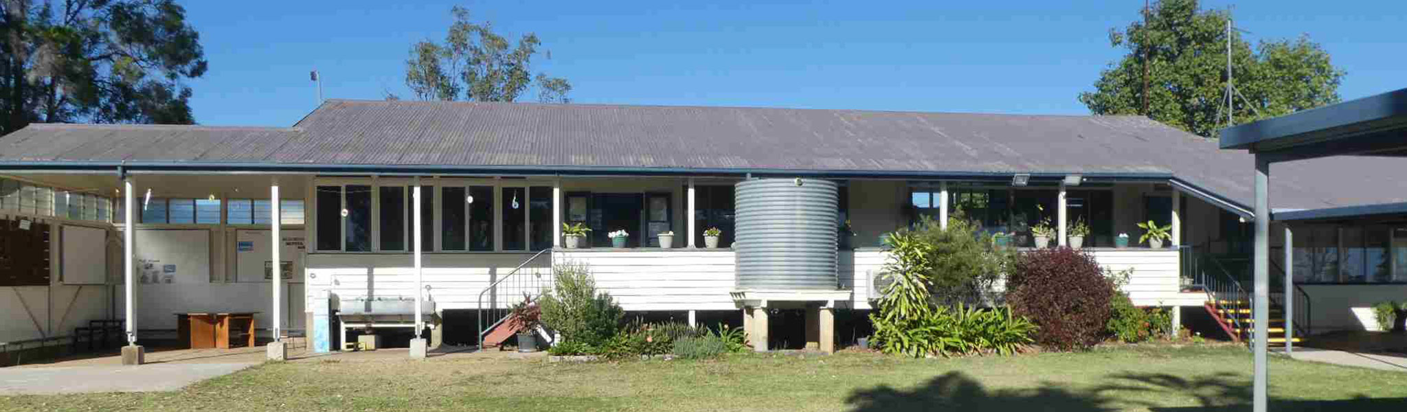 Dingo State School
