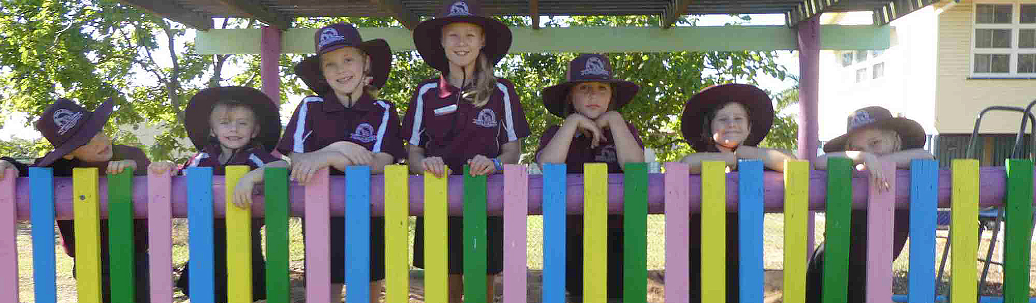 Dingo State School